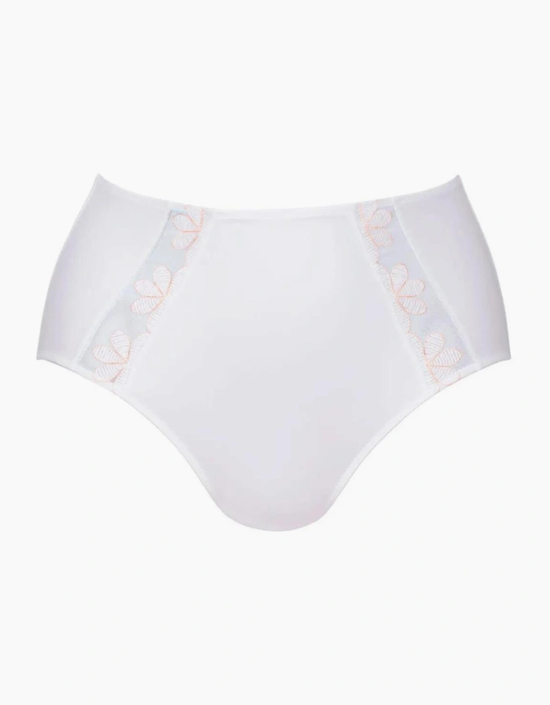1309 Anita Sophia High Waist Brief