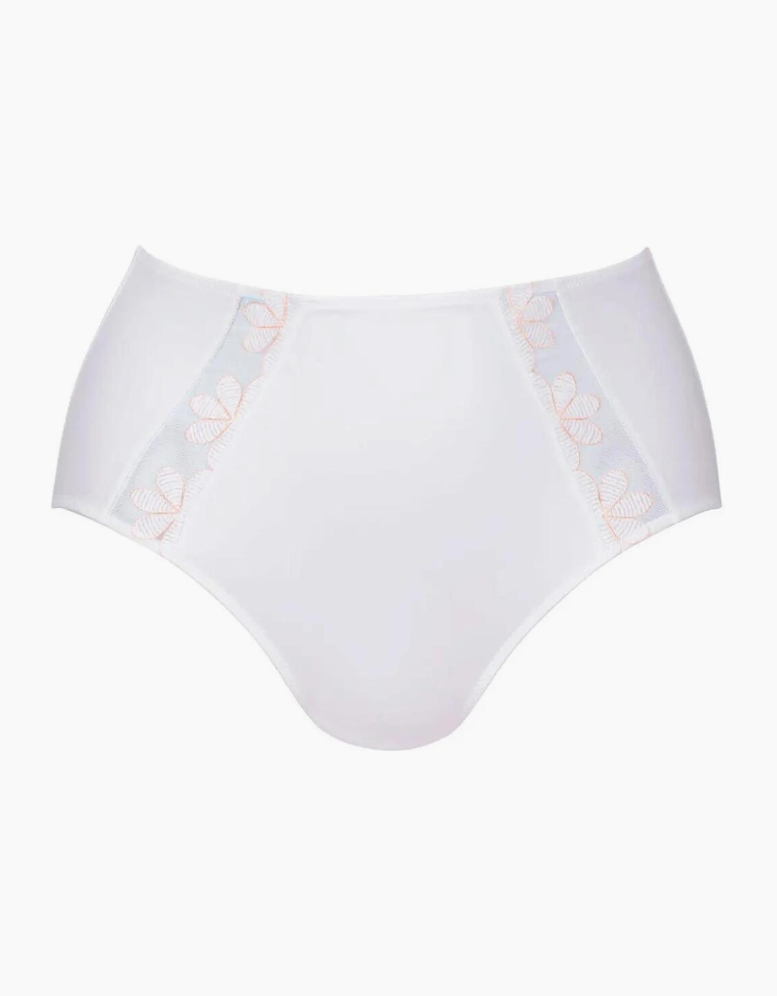 1309 Anita Sophia High Waist Brief