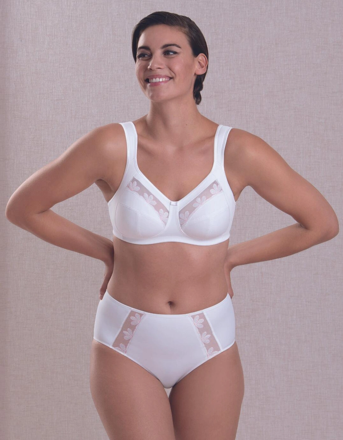 1309 Anita Sophia High Waist Brief