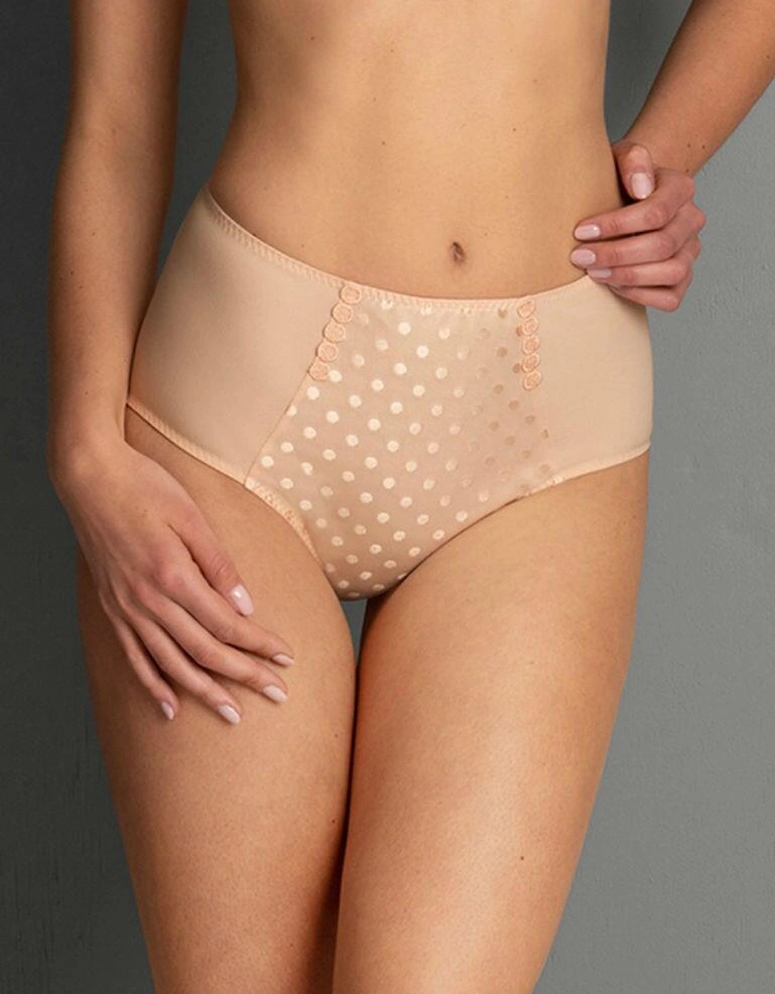 1350 Anita Airita High Waist Brief+