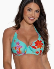 Aqua Orange