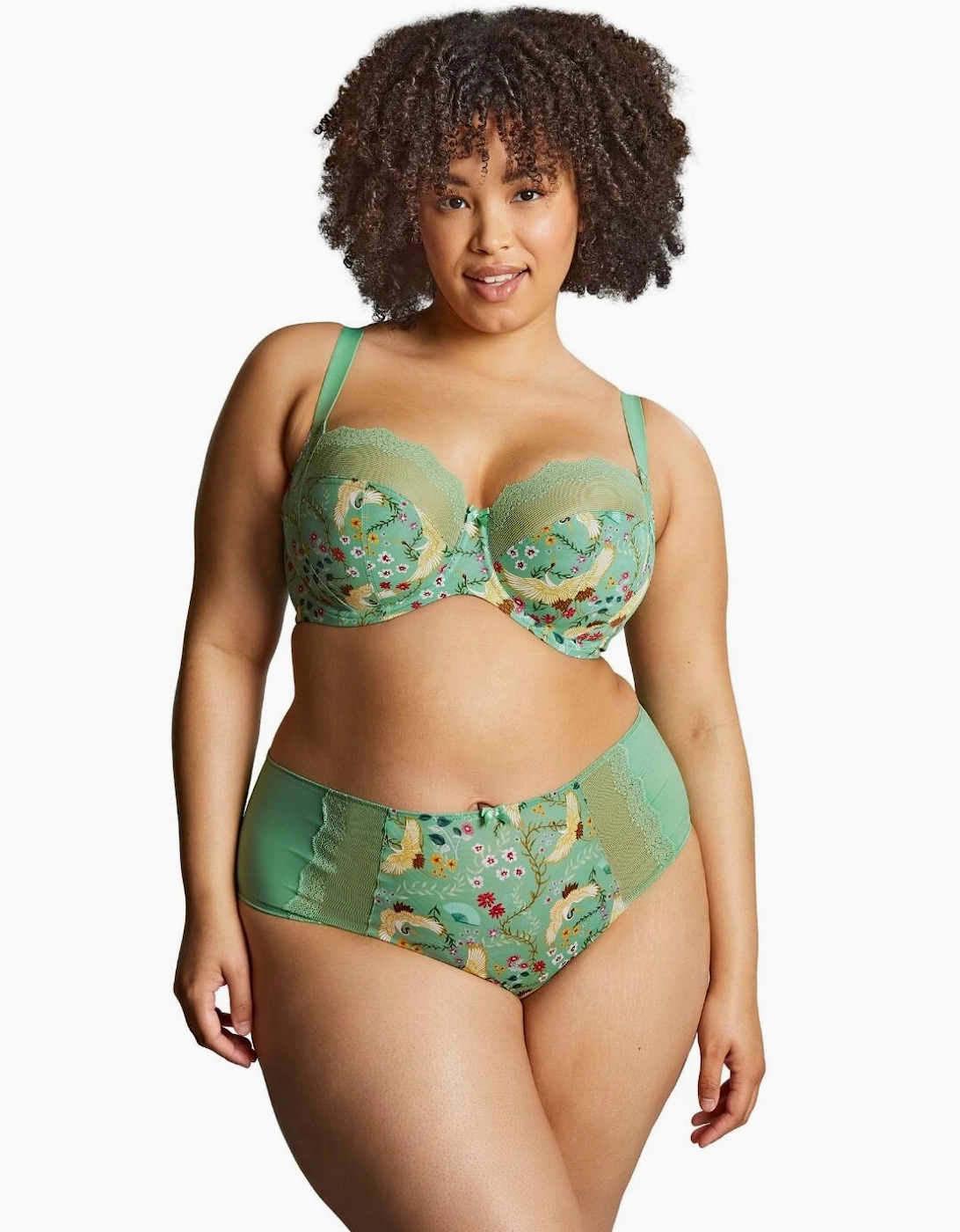 10924 Sculptresse by Panache Esme Deep Brief