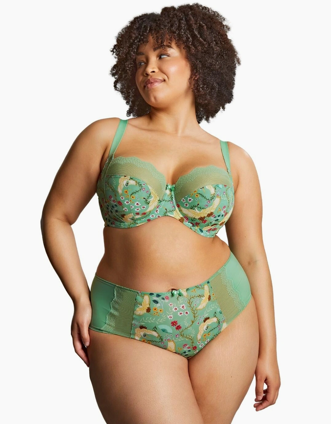 10924 Sculptresse by Panache Esme Deep Brief