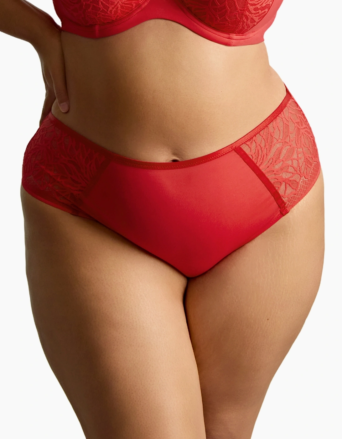11192 Sculptresse by Panache Sophia Deep Brief