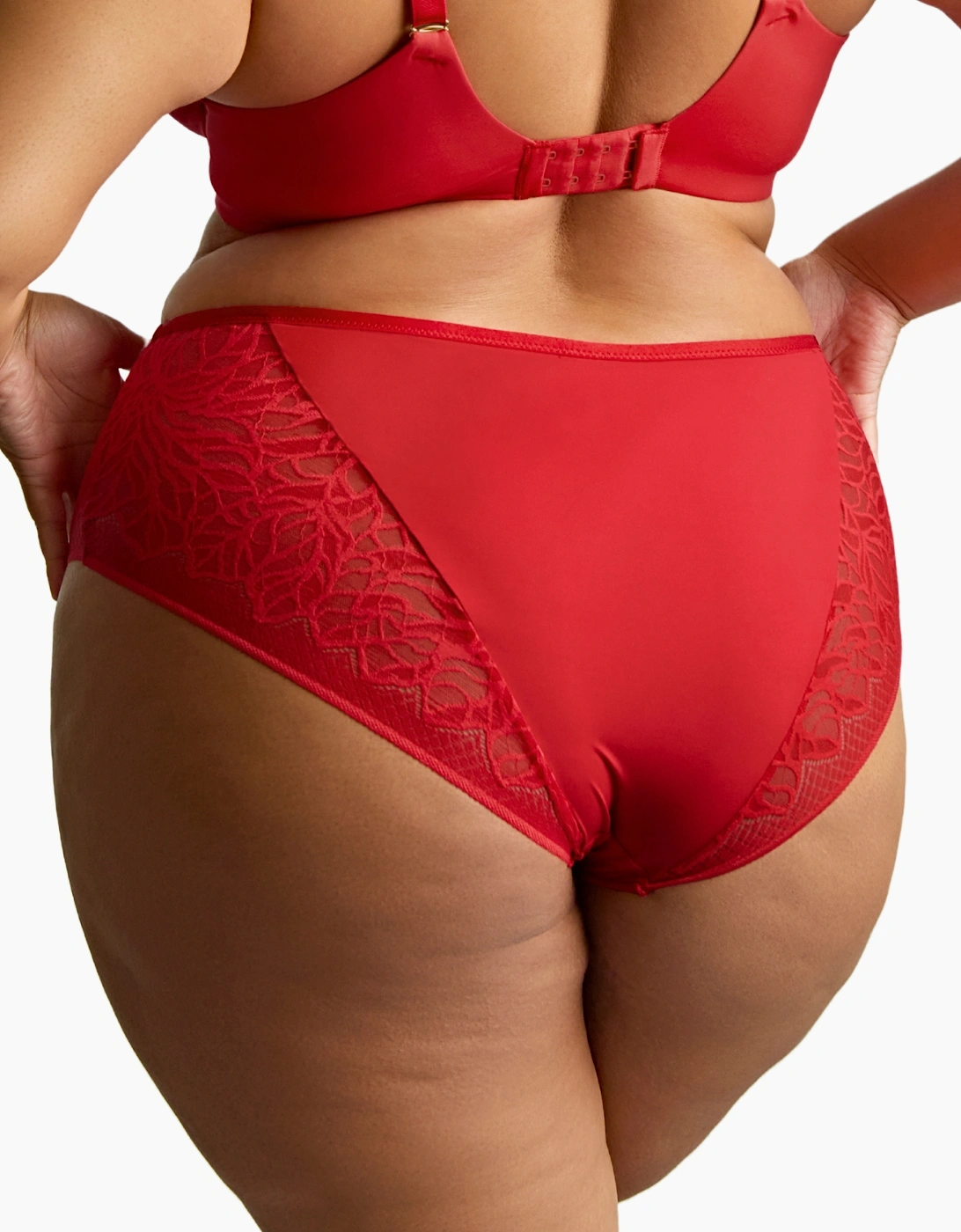 11192 Sculptresse by Panache Sophia Deep Brief