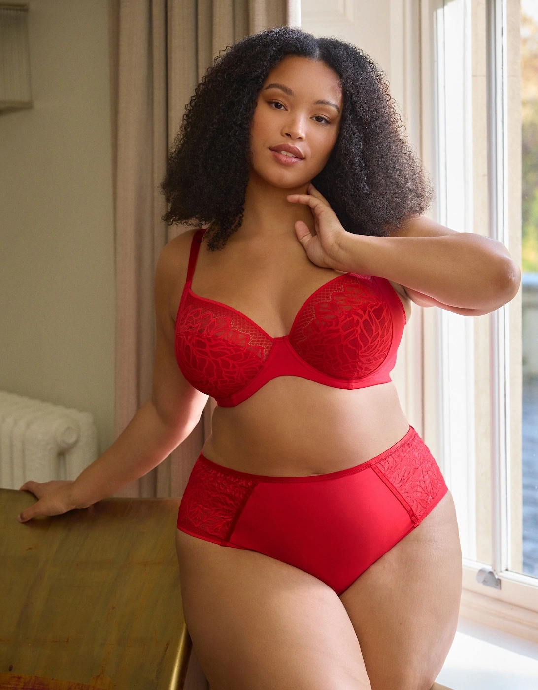 11192 Sculptresse by Panache Sophia Deep Brief