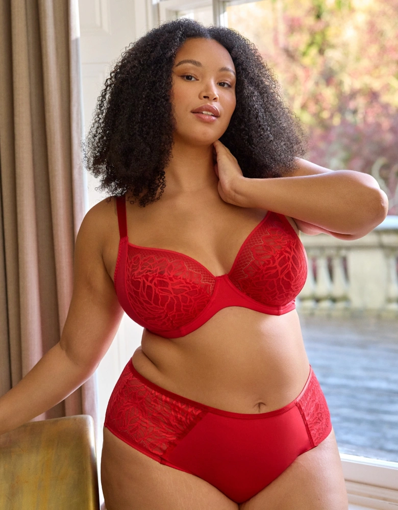 11192 Sculptresse by Panache Sophia Deep Brief