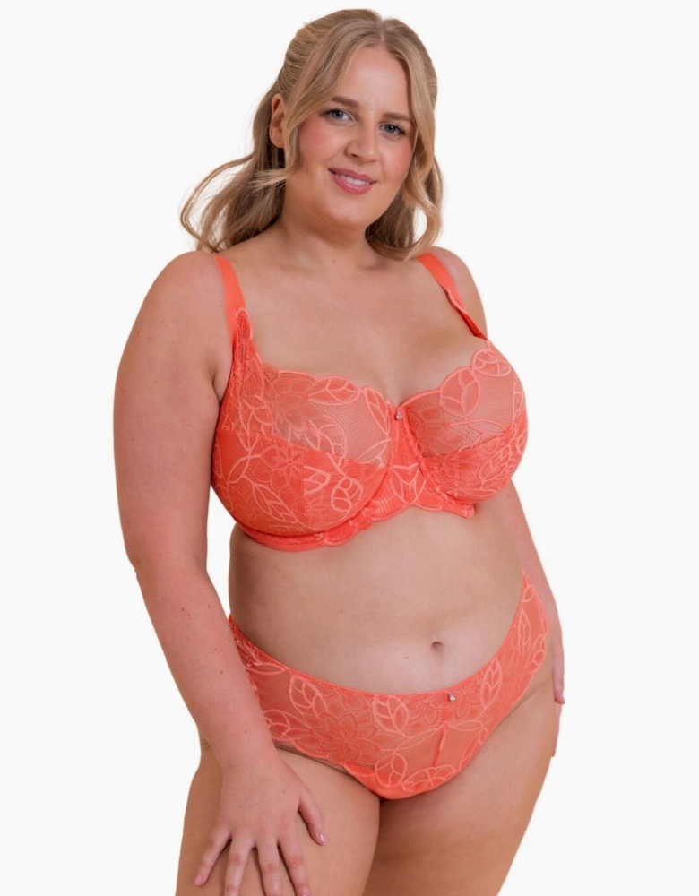 CK089202 Curvy Kate Lovelace Brazilian Brief