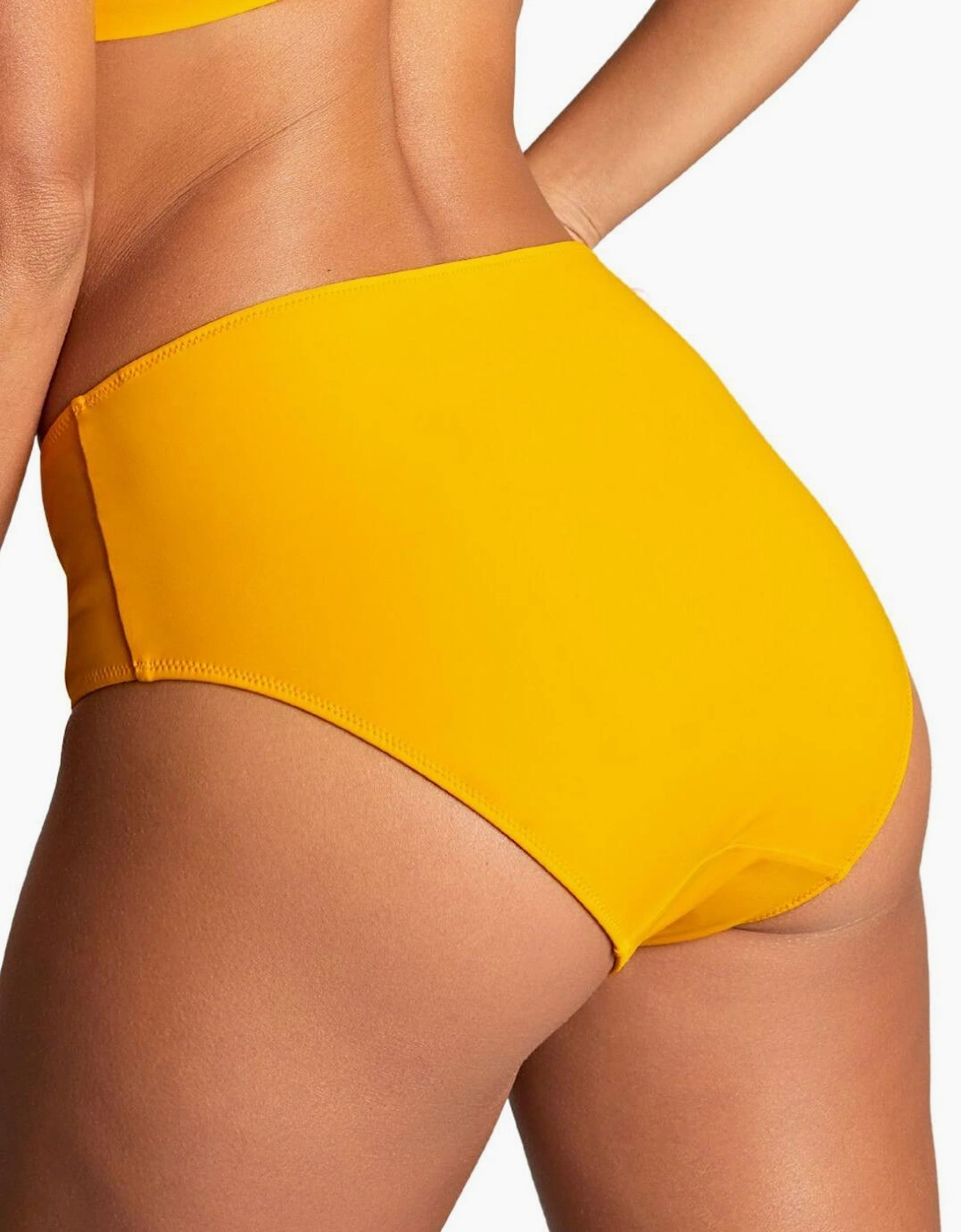 SW1755 Panache High Waist Bikini Brief