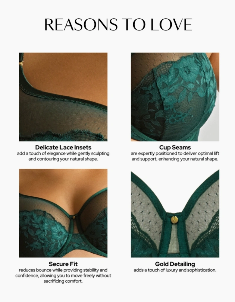 10855A Sculptresse Josephine Full Cup Bra