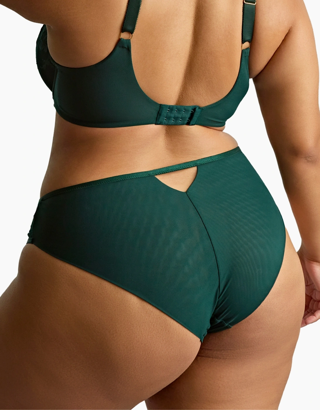 10852A Sculptresse Josephine High Leg Brief