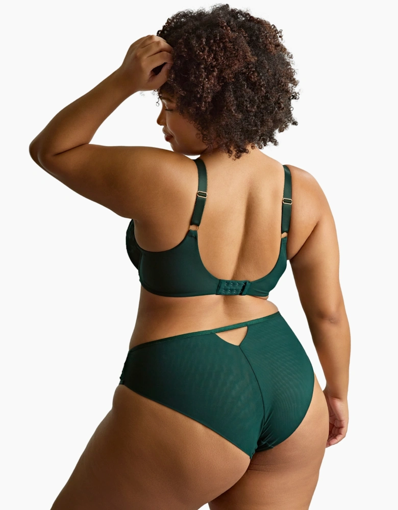 10852A Sculptresse Josephine High Leg Brief