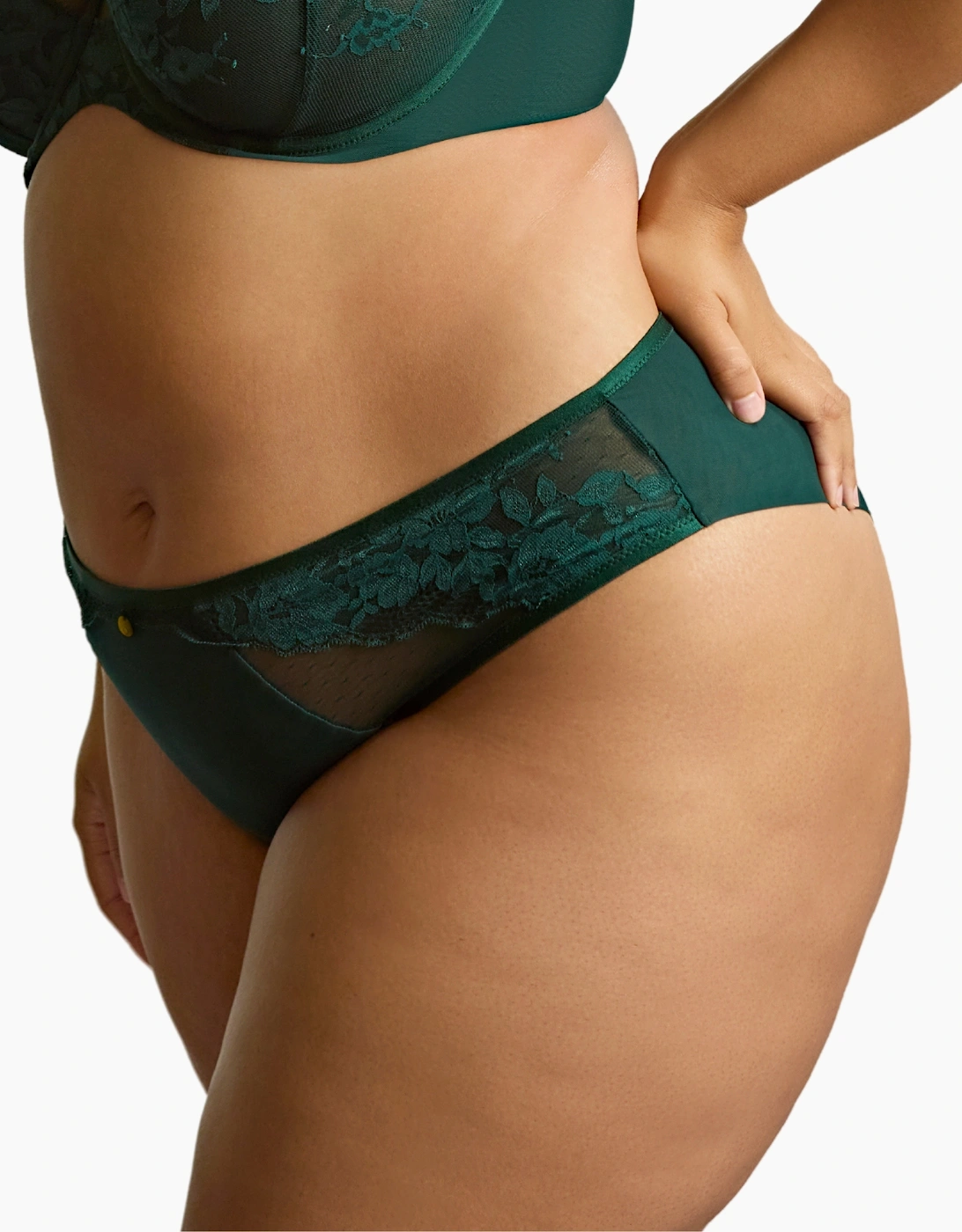 10852A Sculptresse Josephine High Leg Brief