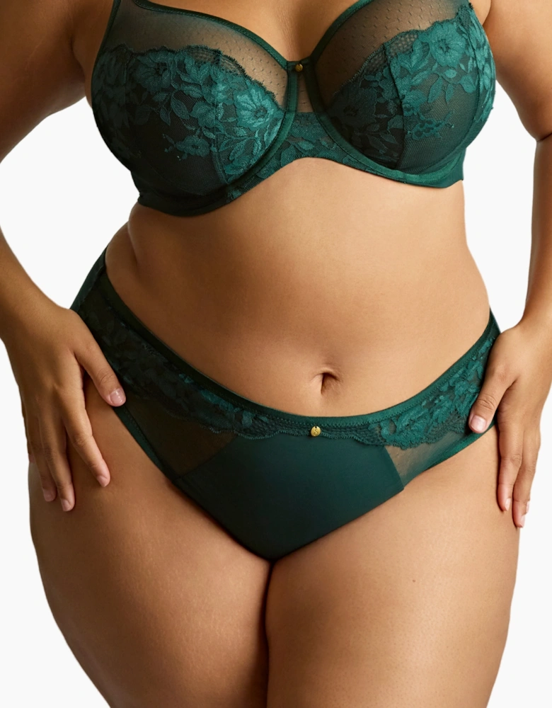10852A Sculptresse Josephine High Leg Brief