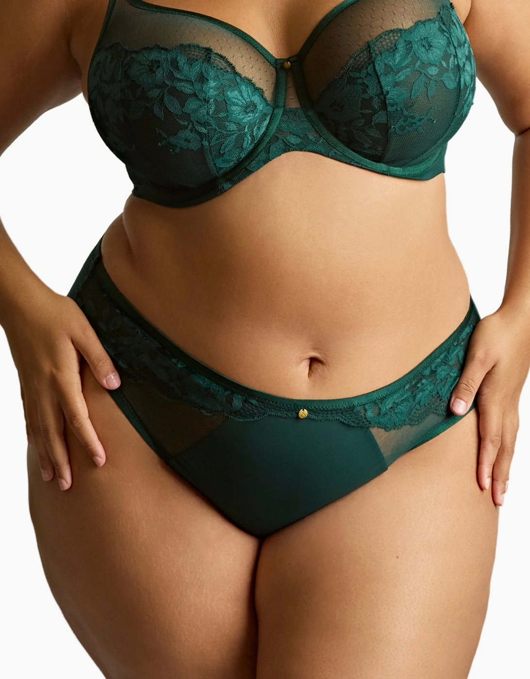 10852A Sculptresse Josephine High Leg Brief