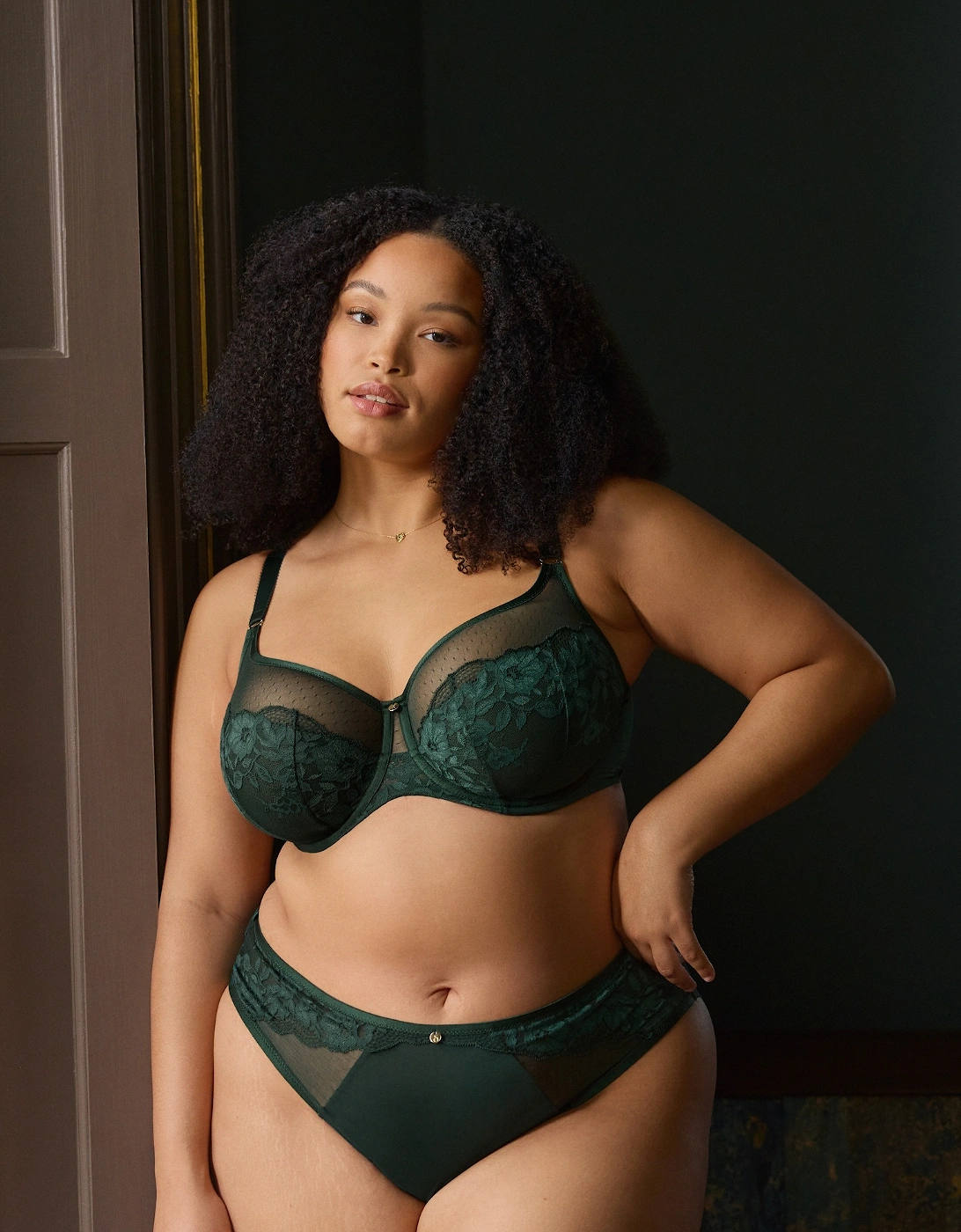 10852A Sculptresse Josephine High Leg Brief