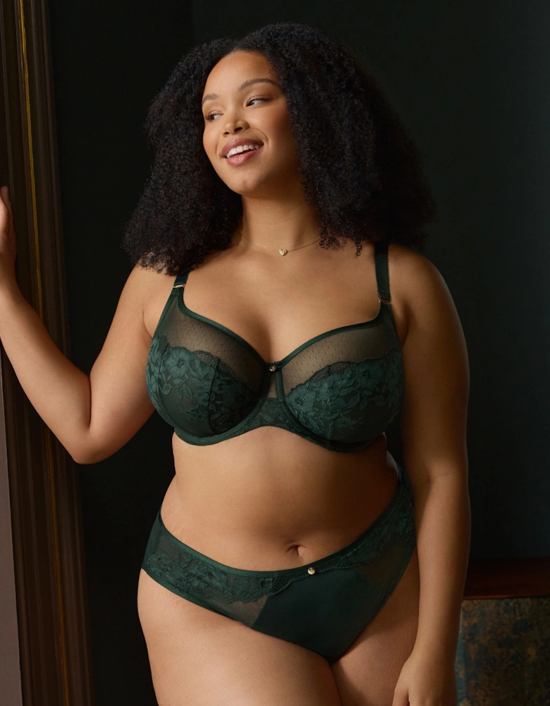 10852A Sculptresse Josephine High Leg Brief