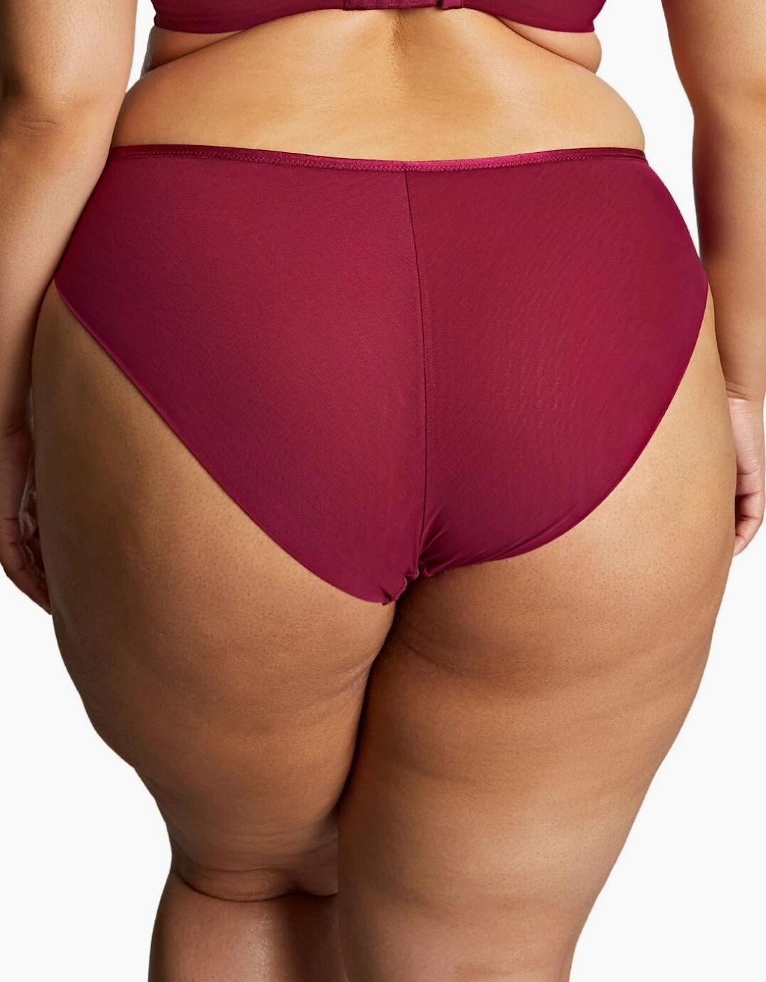 11212 Sculptresse by Panache Natalia High Leg Brief