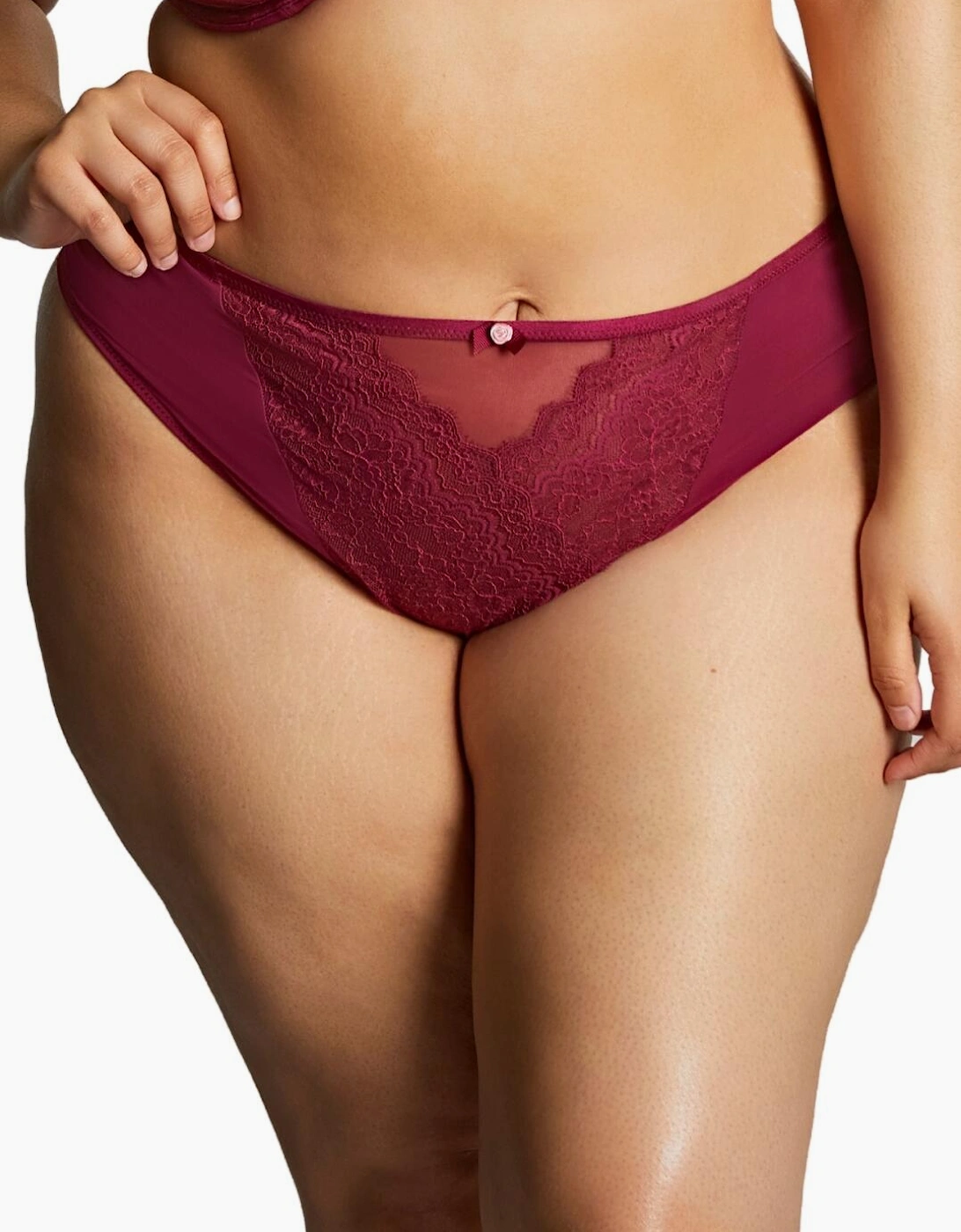 11212 Sculptresse by Panache Natalia High Leg Brief