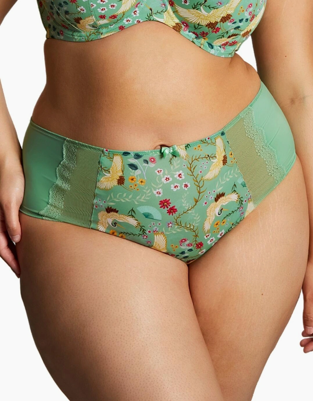 10924 Sculptresse by Panache Esme Deep Brief