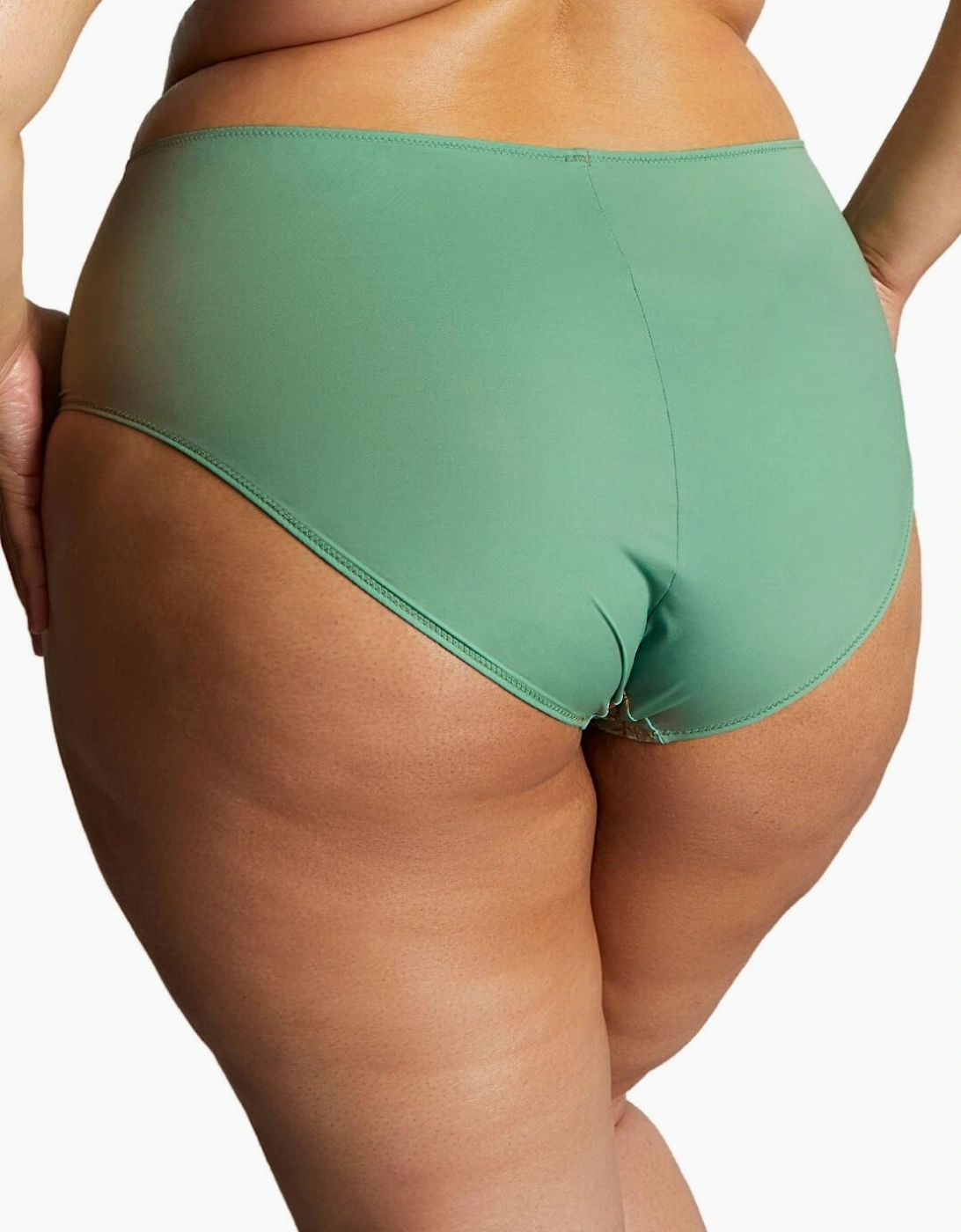 10924 Sculptresse by Panache Esme Deep Brief