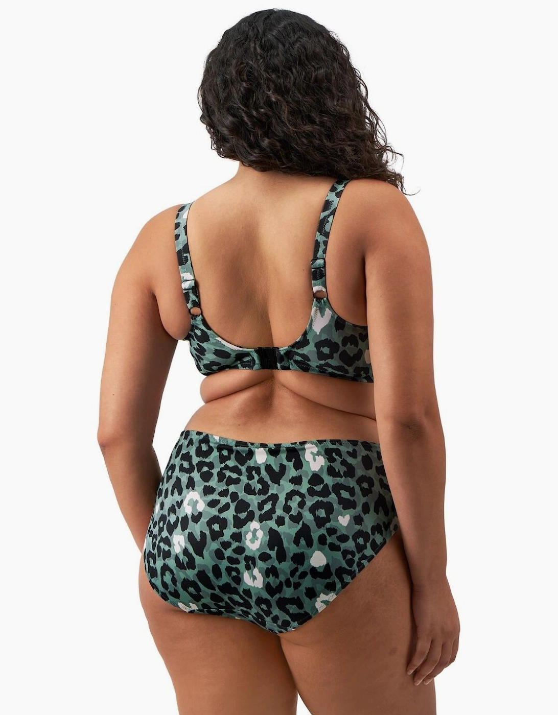802072 Elomi Jungle Bay Mid Rise Bikini Brief