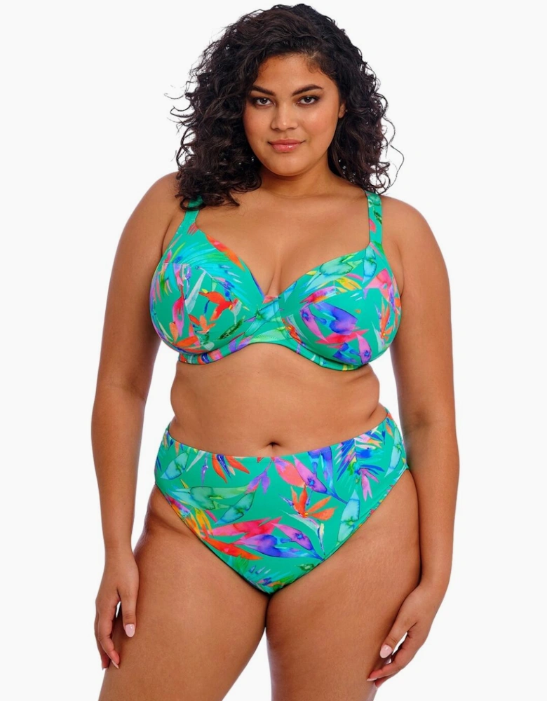 802272 Elomi Toyama Tides Bikini Brief