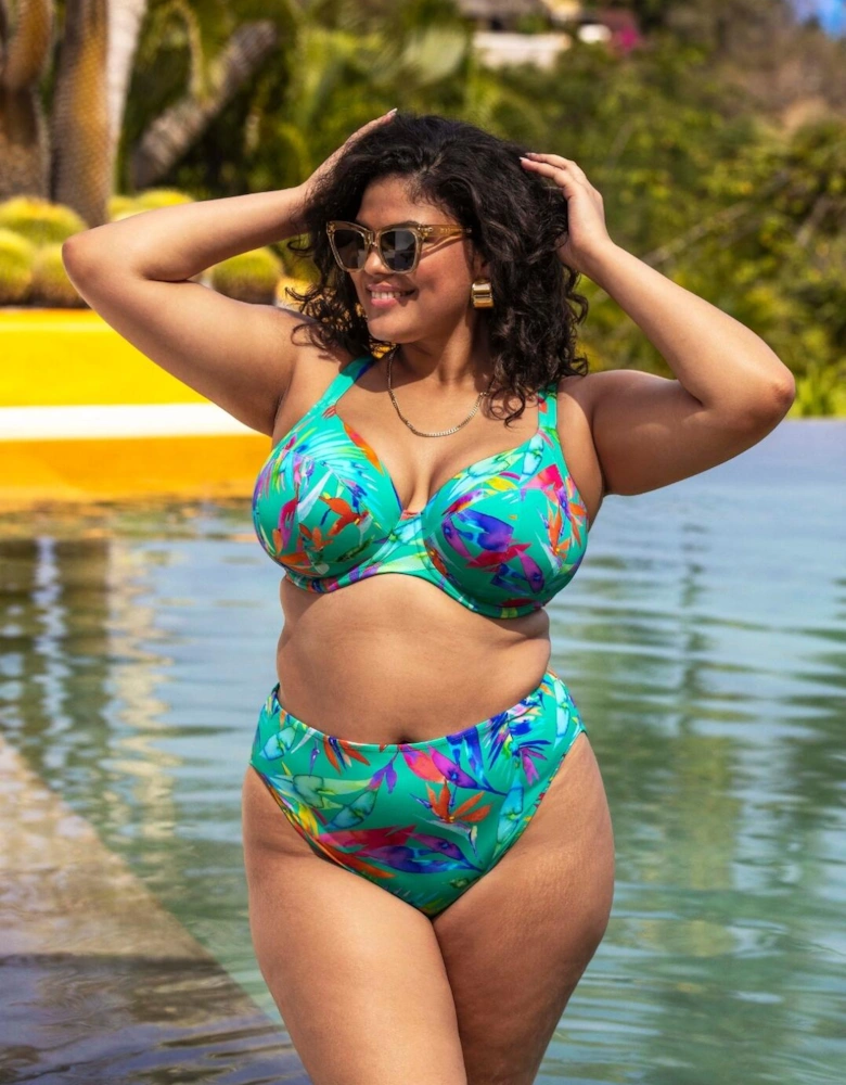 802202 Elomi Toyama Tides Plunge Bikini Top