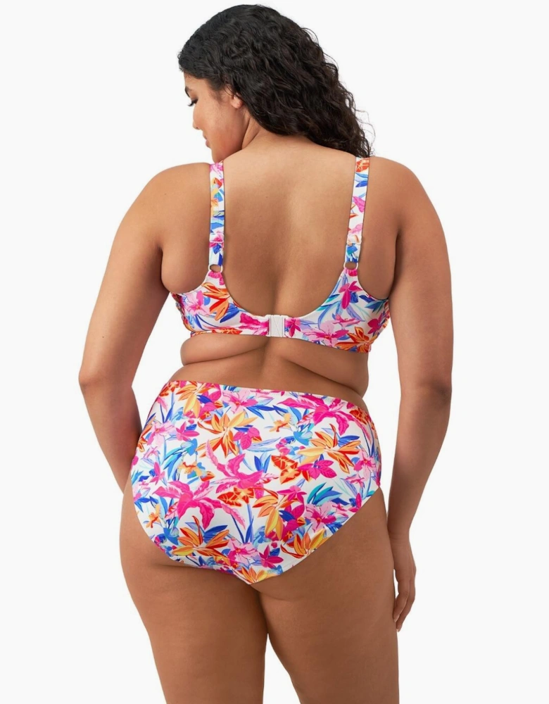 801372 Elomi Savaneta Mid Rise Bikini Brief