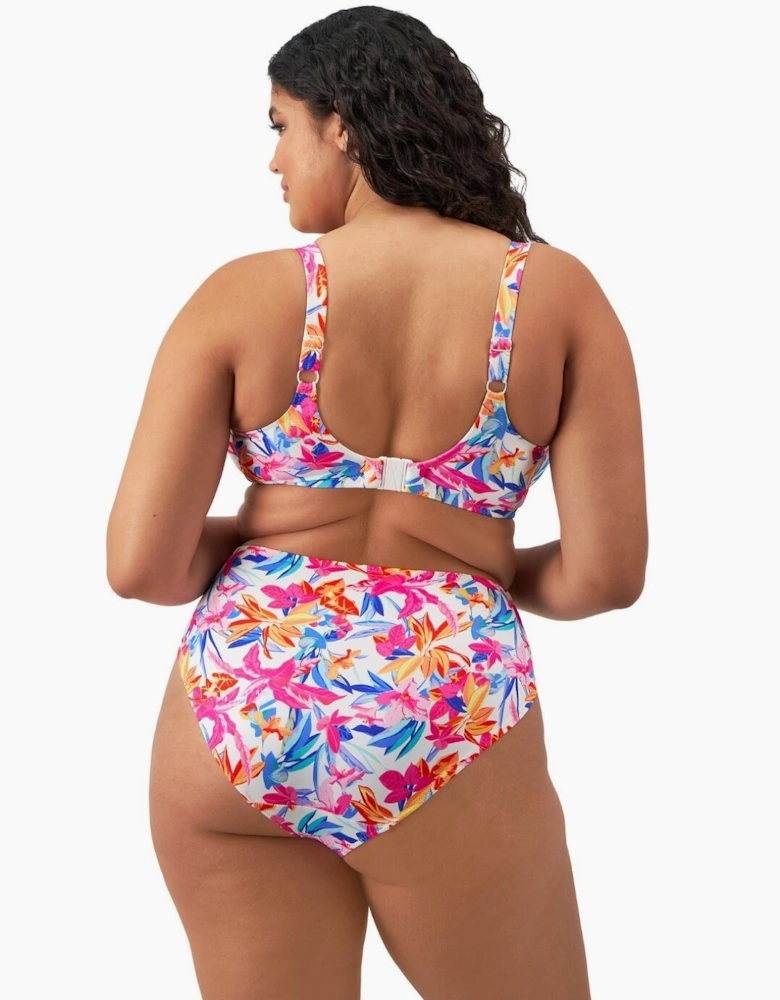 801302 Elomi Savaneta Plunge Bikini Top