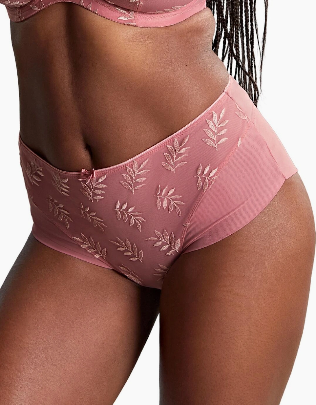 9093 Panache Tango Deep Brief