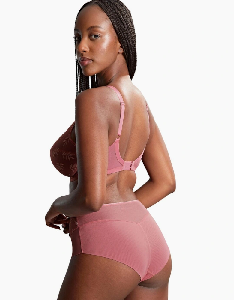 9093 Panache Tango Deep Brief