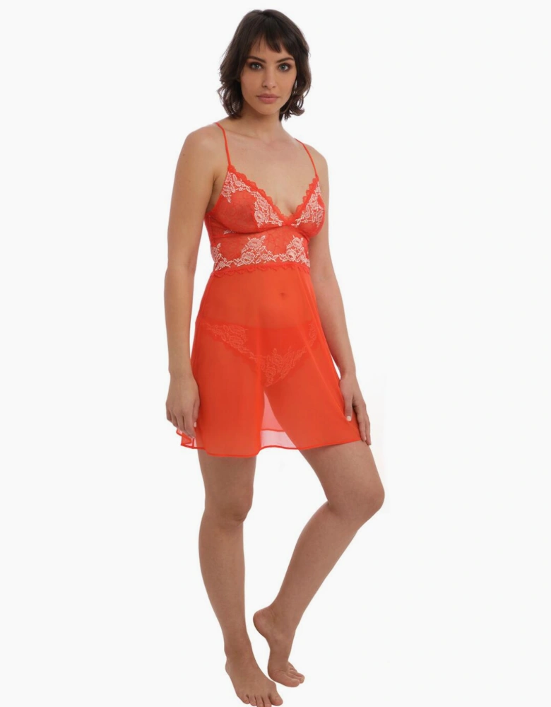135009 Wacoal Lace Perfection Chemise