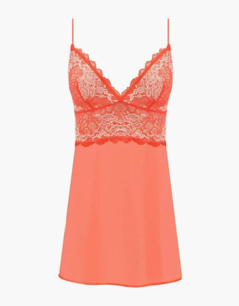 135009 Wacoal Lace Perfection Chemise