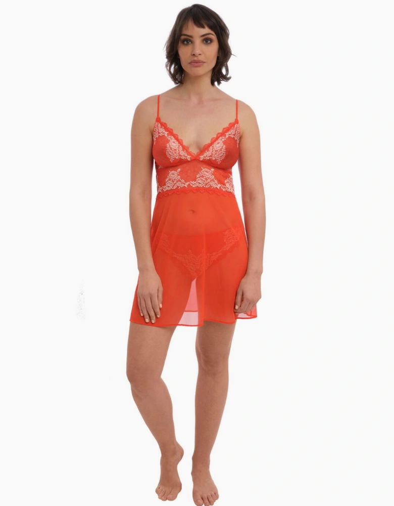 135009 Wacoal Lace Perfection Chemise