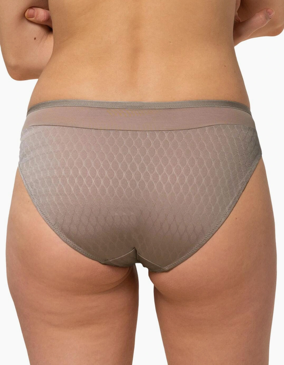 10184457 Triumph Azalea Florale Tai Brief