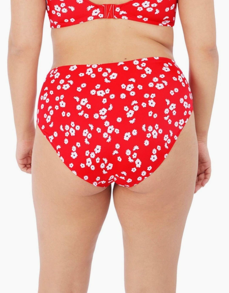 7275 Elomi Plain Sailing Bikini Brief