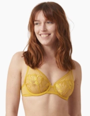 Ochre