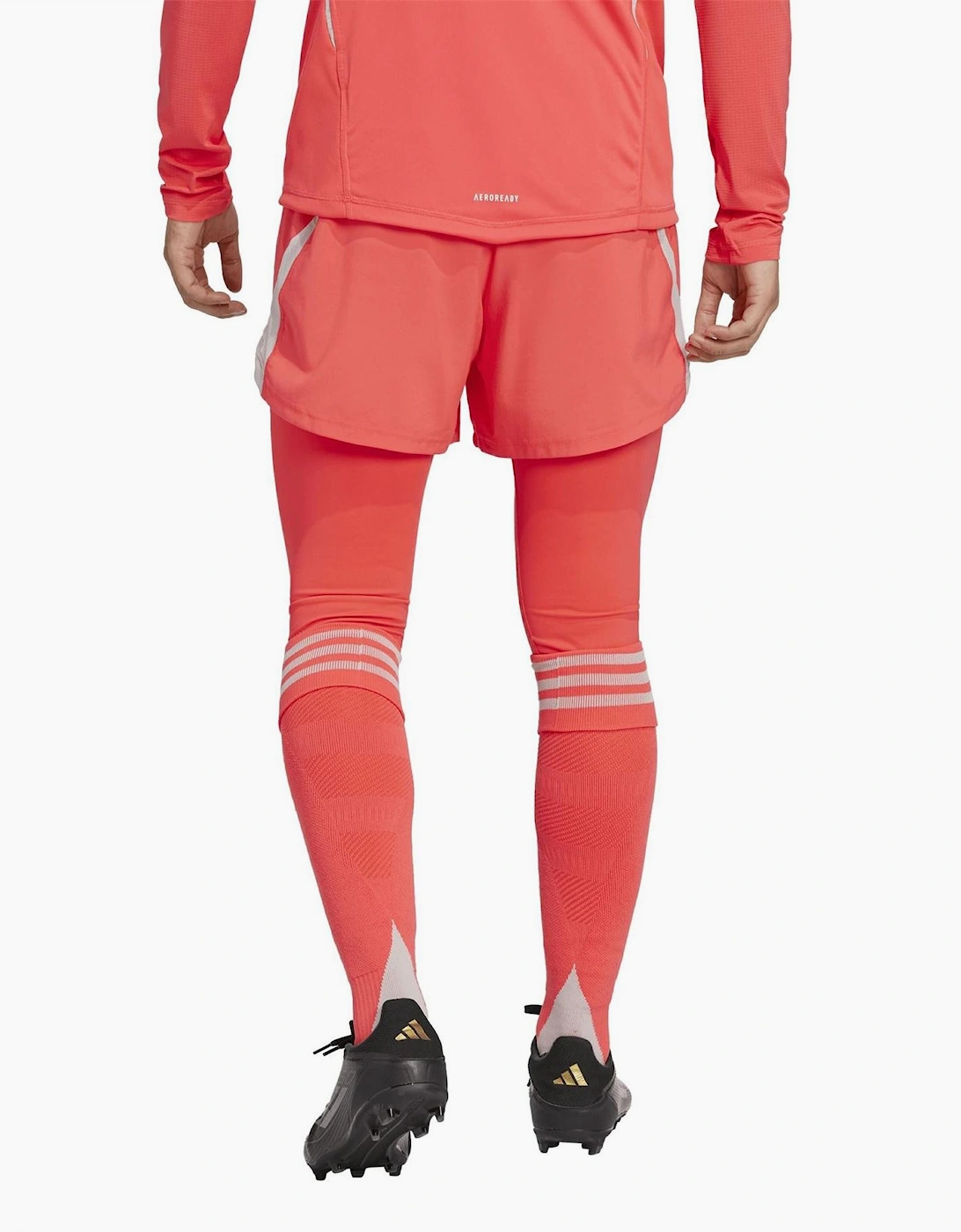 T25 P Gk Tigh
