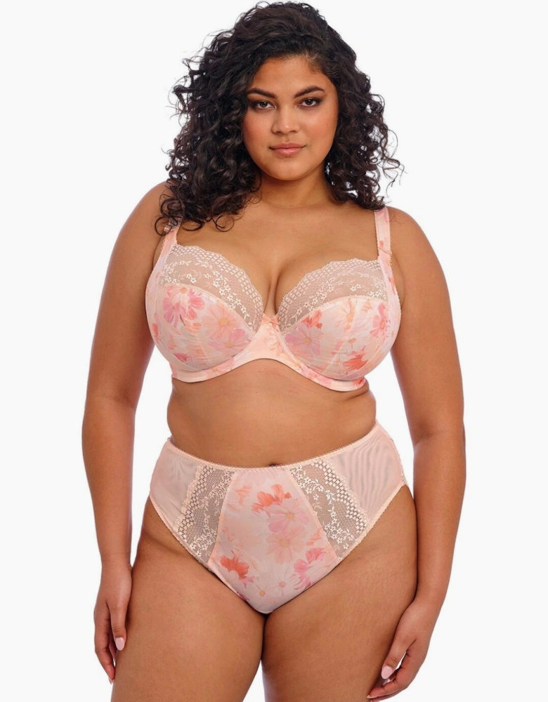 4498 Elomi Lucie High Leg Brief