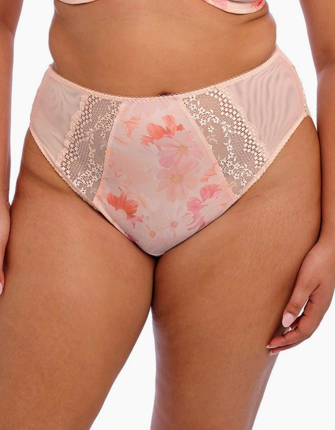 4498 Elomi Lucie High Leg Brief