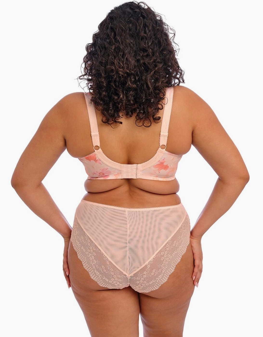4498 Elomi Lucie High Leg Brief