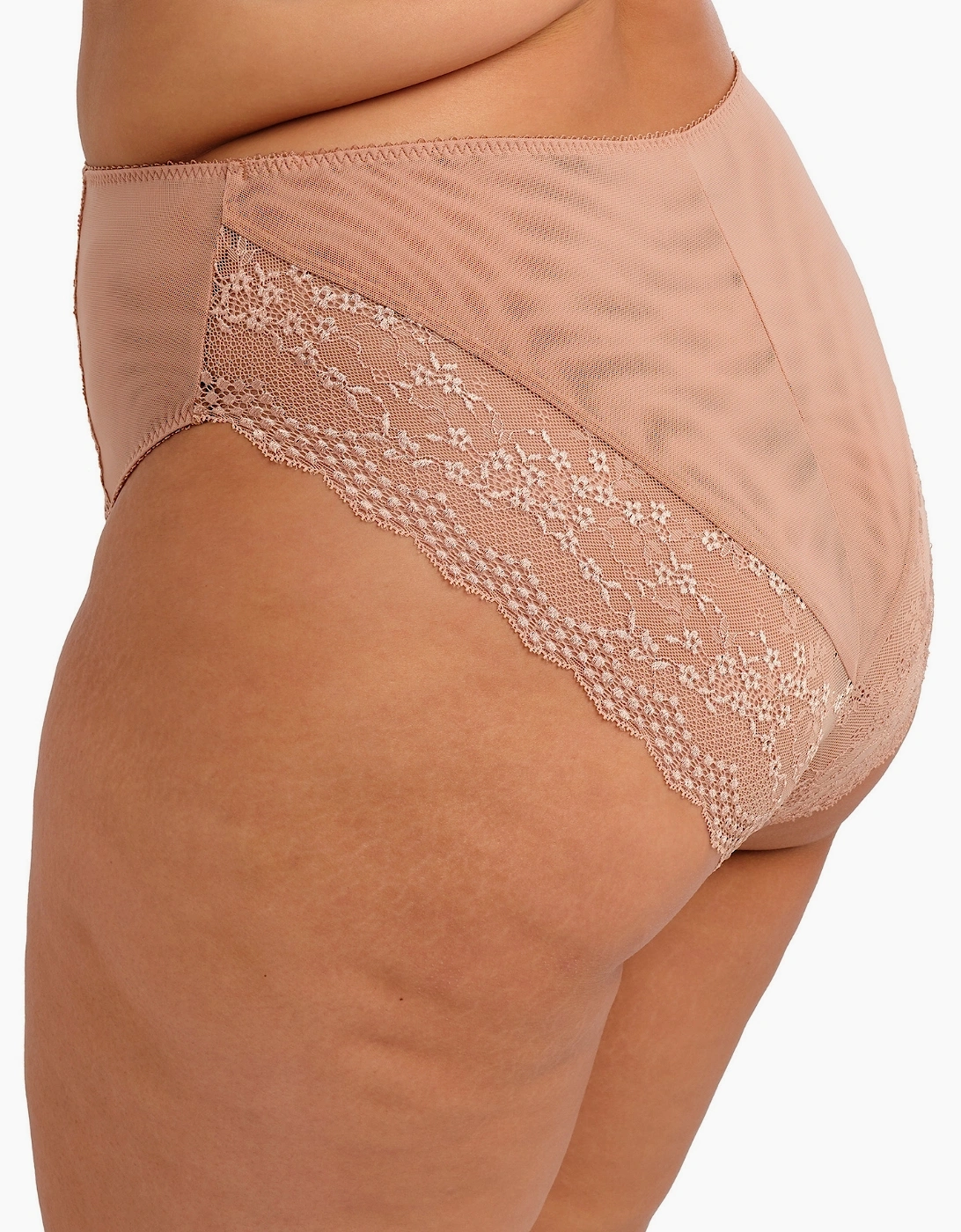 4498 Elomi Lucie High Leg Brief