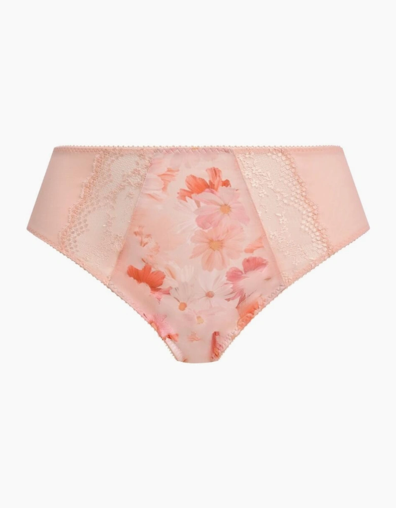 4498 Elomi Lucie High Leg Brief