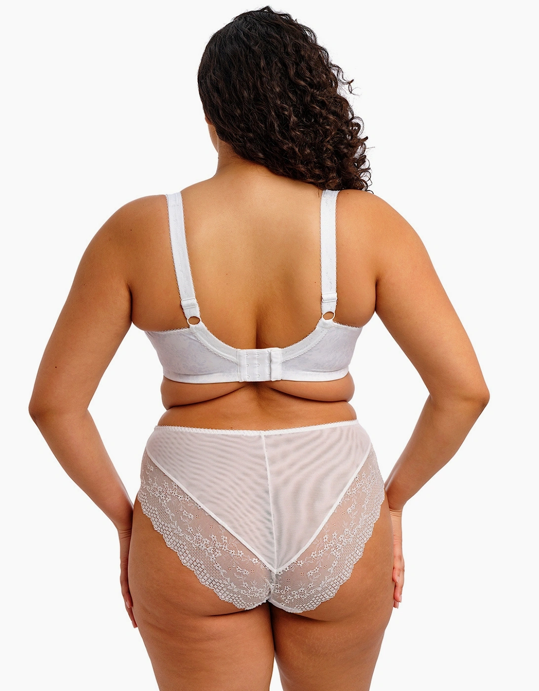 4498 Elomi Lucie High Leg Brief