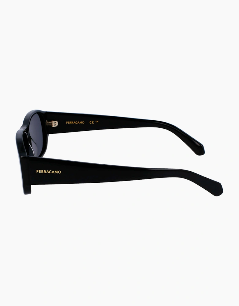 Ferragamo SF1109S-1 GLASSES