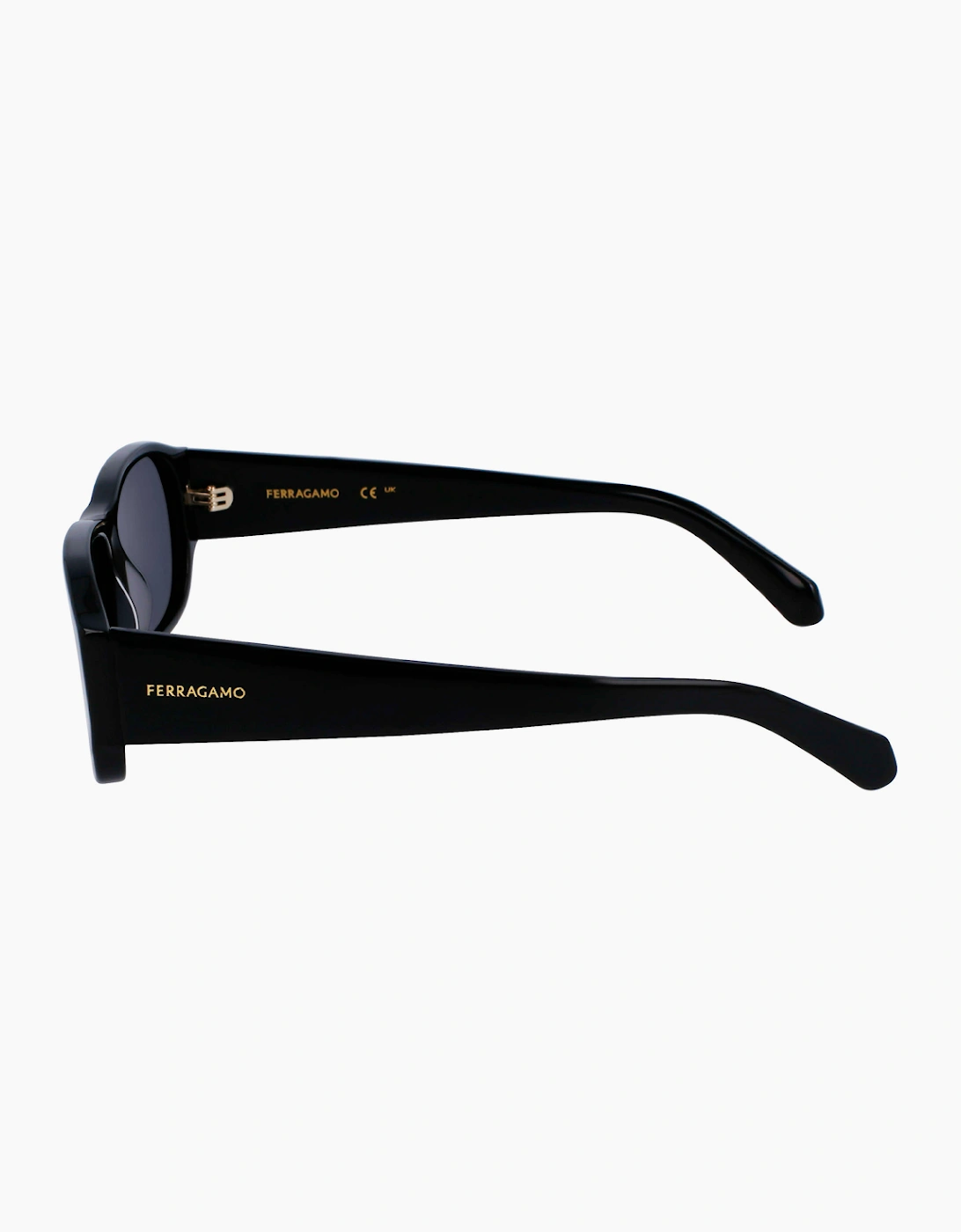 Ferragamo SF1109S-1 GLASSES