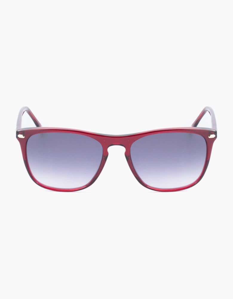 Belstaff MERIDINIIS16 GLASSES