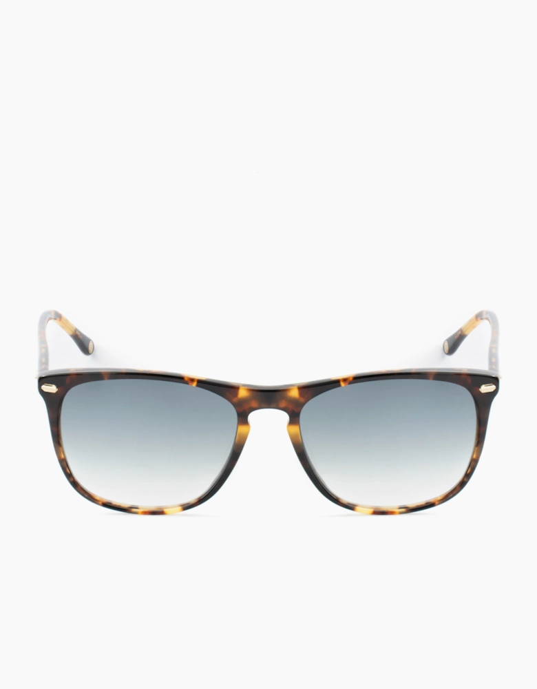 Belstaff MERIDINIIS17 GLASSES