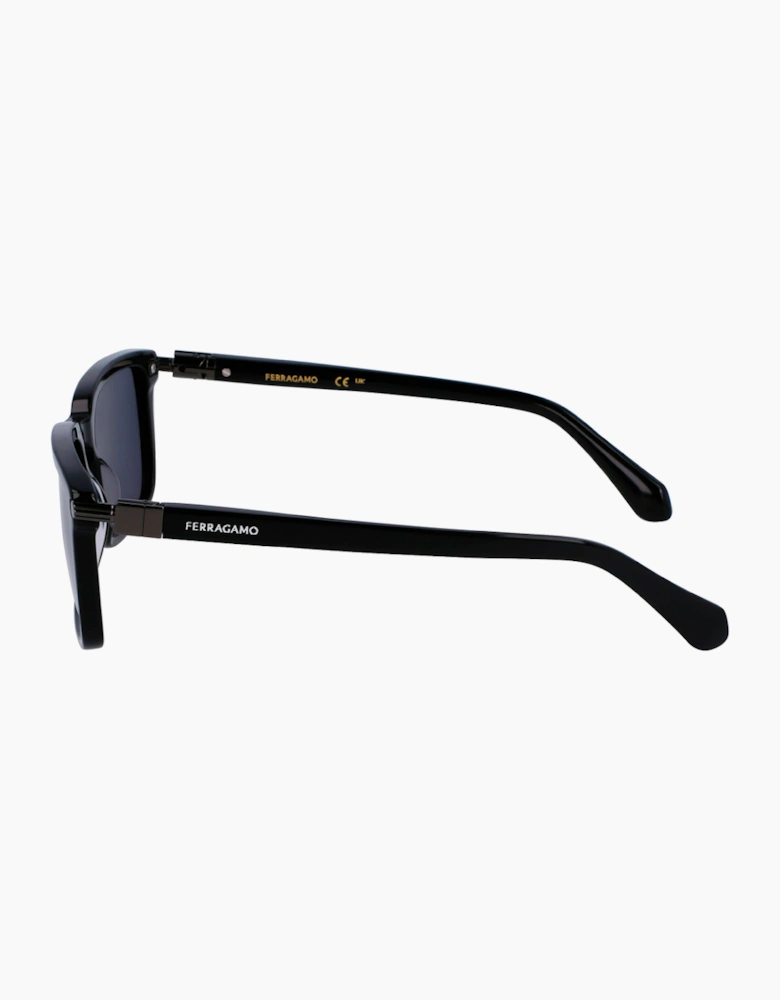 Ferragamo SF1110S-1 GLASSES